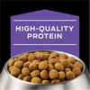 Purina Pro Plan Veterinary Diets DH Dental Health Canine Formula Dry Dog Food - 18 lb. Bag
