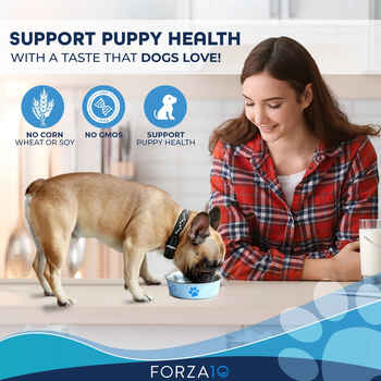 Forza10 Nutraceutic Legend Puppy Icelandic Salmon & Lamb Recipe Grain Free Wet Dog Food 13.7 oz Cans - Case of 12