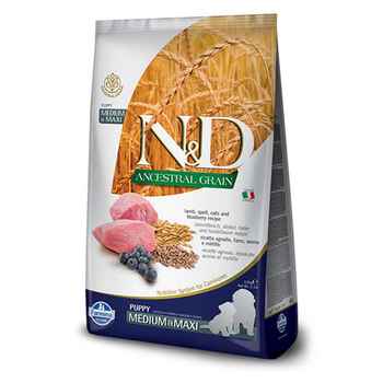 Farmina N&D Ancestral Grain Puppy Medium & Maxi Lamb & Blueberry Dry Dog Food 5.5 lb Bag product detail number 1.0