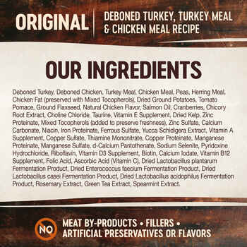 Wellness CORE Grain Free Original Deboned Turkey, Turkey Meal & Chicken Meal Recipe Dry Cat Food 2 lb Bag