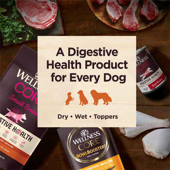 Wellness Core Digestive Health Fish Recipe Dog Food 4 lb