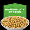 Purina Pro Plan Veterinary Diets HA Hydrolyzed Feline Formula Dry Cat Food
