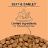 Canidae PURE With Wholesome Grains Dry Dog Food with Beef & Barley