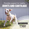 Dasuquin Large Dogs Over 60 lbs 84 ct