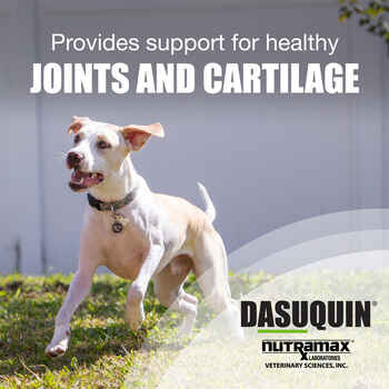 Nutramax Dasuquin Joint Health Supplement - With Glucosamine, Chondroitin, ASU, Boswellia Serrata Extract, Green Tea Extract