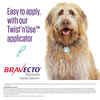 Bravecto Topical for Dogs Small Dog 9.9-22 lbs 1 dose