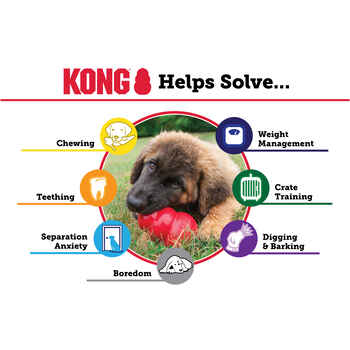 KONG Senior Dog Toy - Small
