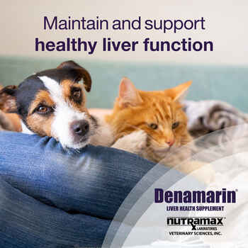 Nutramax Denamarin Liver Health Supplement for Large Dogs - With S-Adenosylmethionine (SAMe) and Silybin Medium Dogs, 30 Tablets