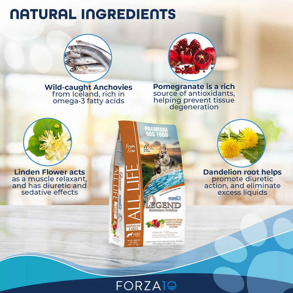 Forza10 Nutraceutic Legend All Life Medium & Large Breed Wild Caught Anchovy Grain Free Dry Dog Food