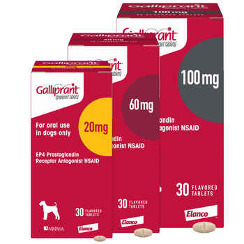 Galliprant 100 mg Tab 30 ct