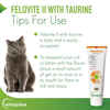 Vetoquinol Felovite II Gel Multivitamin for Cats 2.5 oz Tube