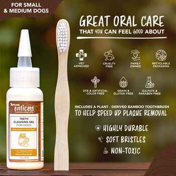 Tropiclean Enticers Teeth Gel/Toothbrush S/M Dog Pb/Honey 2oz