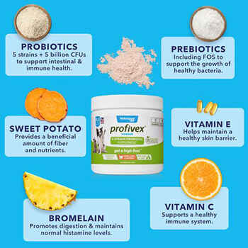 Profivex Probiotic Powder