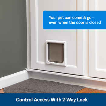 PetSafe 2-Way Interior Locking Cat Door 