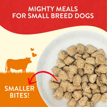 Stella & Chewy's Lil’ Bites Itty Bitty Beef Recipe Freeze-Dried Raw Dog Treat