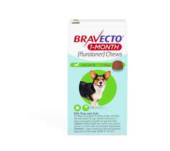 Bravecto 1-Month Chews Medium Dog (22-44 lbs) 1 pk product detail number 1.0