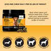 Pet Honesty Allergy Support Peanut Butter Flavored Soft Chews Allergy & Immune Supplement for Dogs
