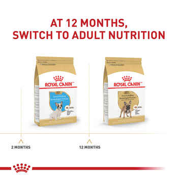 Royal Canin Breed Health Nutrition French Bulldog Puppy Dry Dog Food - 3 lb Bag