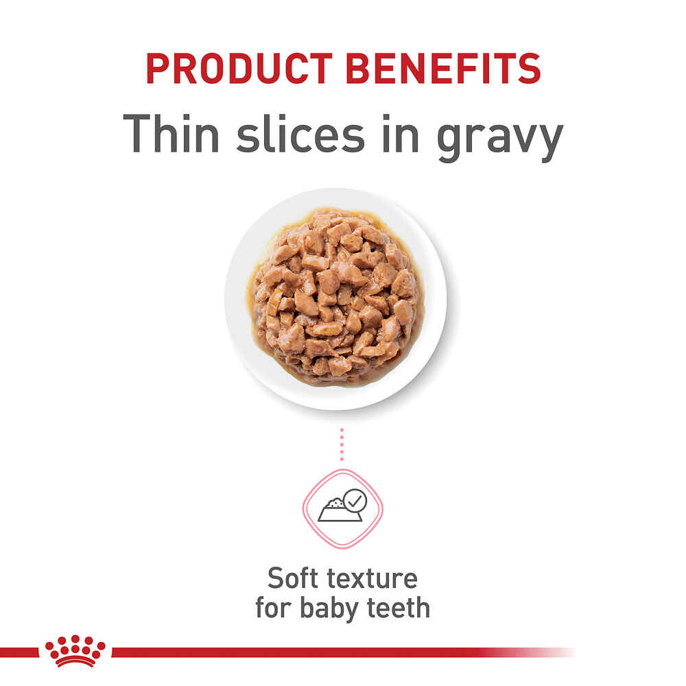 Royal Canin Feline Health Nutrition Kitten Thin Slices In Gravy Wet Cat Food