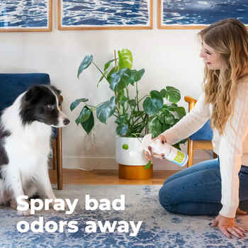 Oxyfresh Advanced All Purpose Pet Deodorizer for Dogs & Cats 16 oz Bottle