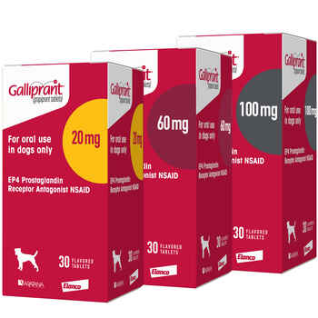 Galliprant 20 mg Tab 90 ct