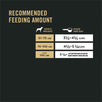 Purina Pro Plan Adult Large Breed Shredded Blend Chicken & Rice Formula Dry Dog Food 34 lb Bag