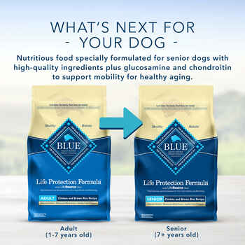 Blue Buffalo Life Protection Formula Adult Lamb & Brown Rice Recipe Dry Dog Food
