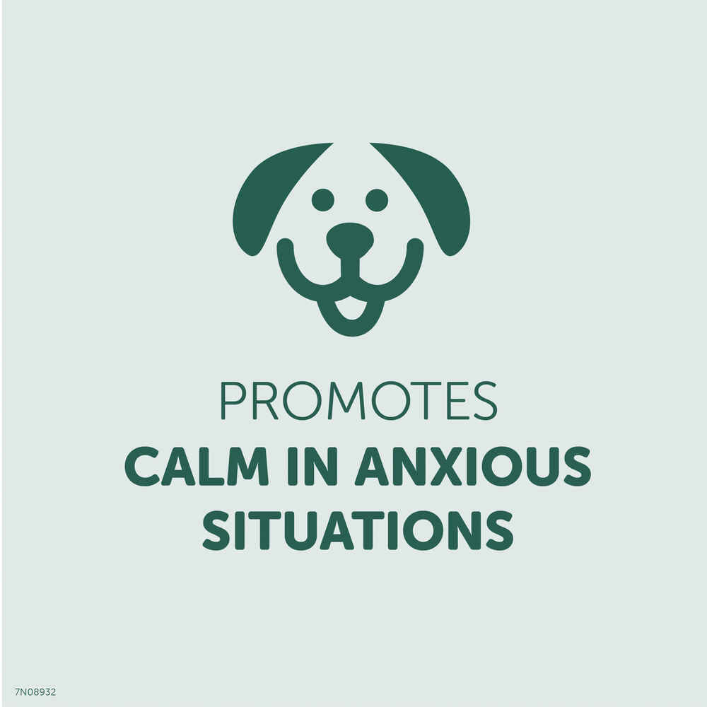 Healthfuls Calming Support Chicken Recipe Dog Treats