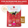 Purina ONE Natural SmartBlend Chicken & Rice Formula Dry Dog Food 