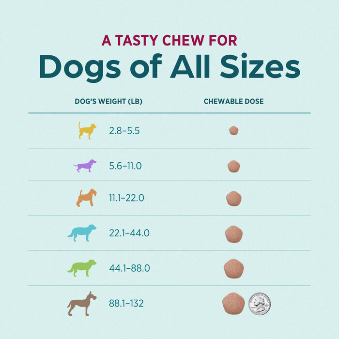 Bundle: Simparica Trio + Alzoo - Total Defense Ultimate Parasite Protection Bundle for Dogs product detail number 1.0