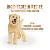 Purina Beneful Prepared Meals Beef Stew Wet Dog Food 10 oz Tub - Case of 8