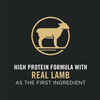 Purina Pro Plan All Ages Sport Small Bites 27/17 Lamb & Rice Formula