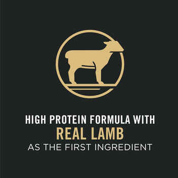 Purina Pro Plan All Ages Sport Small Bites 27/17 Lamb & Rice Formula