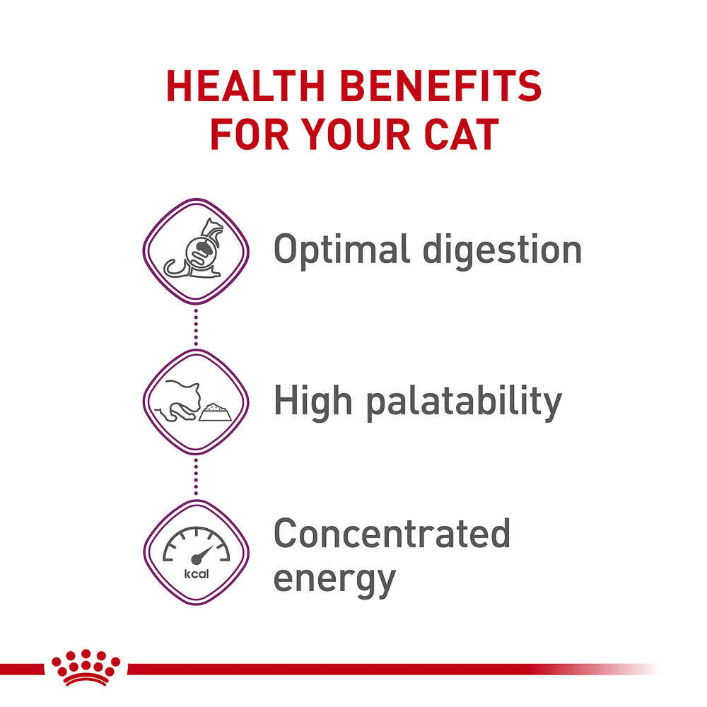 Royal Canin Feline Health Nutrition Sensitive Digestion Adult Dry Cat Food