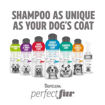 TropiClean PerfectFur Smooth Coat Shampoo for Dogs