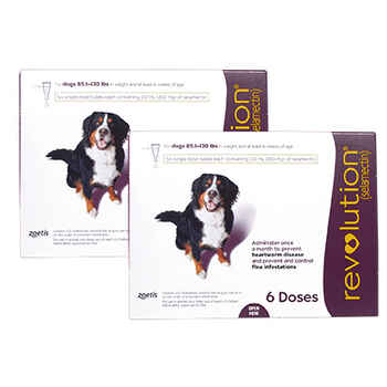 Revolution 12pk Dog 85.1-130 lbs product detail number 1.0