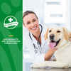 NaturVet Advanced Probiotics and Enzymes Plus Vet Strength PB6 Probiotic Supplement for Dogs