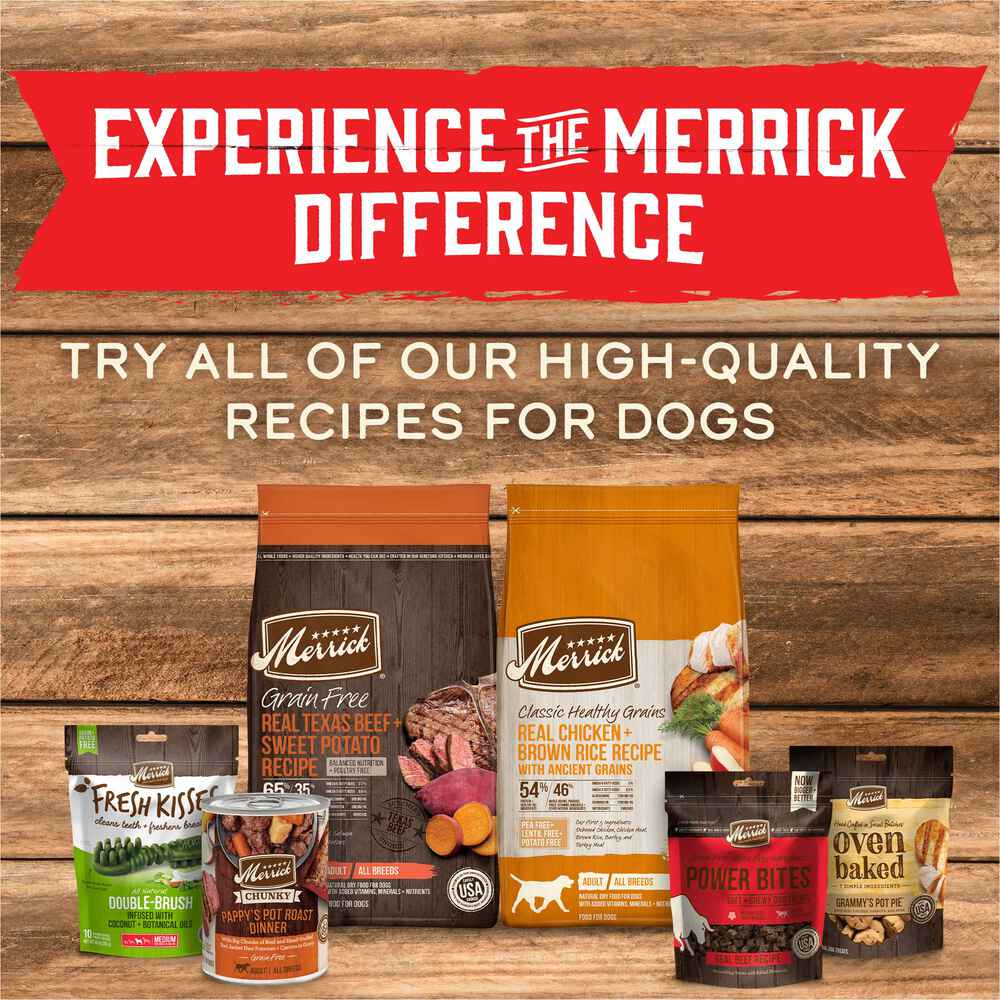 Merrick Grain Free Slow Cooked BBQ Kansas Style Pork Canned Dog Food