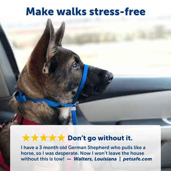 PetSafe Gentle Leader Headcollar No-Pull Dog Collar - Large - Black