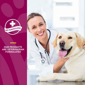 NaturVet ArthriSoothe-GOLD Level 3, Clinically Tested Advanced Joint Care Supplement for Dogs Time Release, Chewable Tablets 40 ct