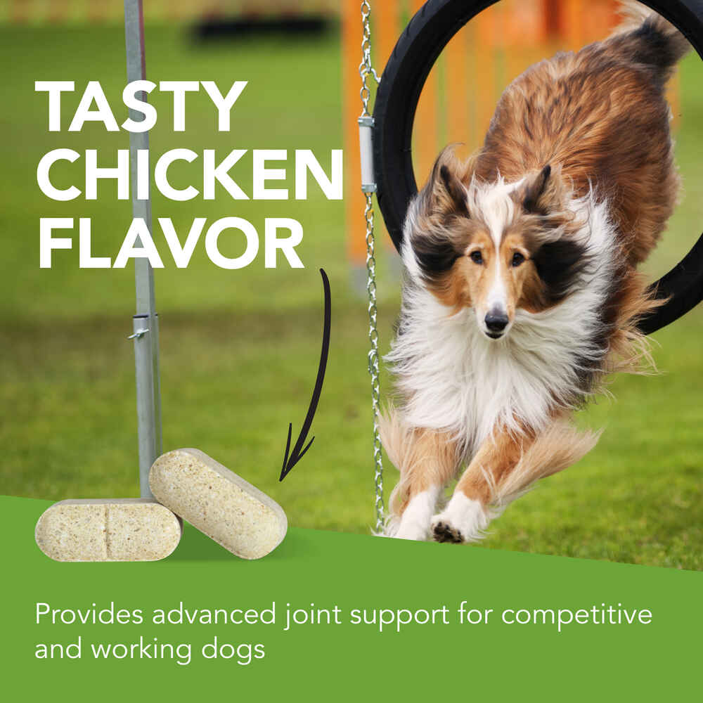 VetriScience GlycoFlex Stage Hip And Joint Supplement