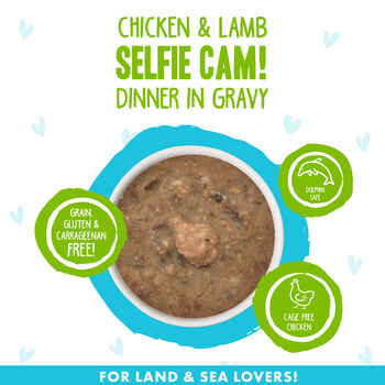 Weruva BFF Oh My Gravy Selfie Cam Grain Free Chicken & Lamb in Gravy for Cats 12 2.8-oz cans