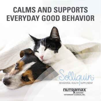 Nutramax Solliquin Calming Behavioral Health Supplement - With L-Theanine, Magnolia / Phellodendron, and Whey Protein Concentrate Dogs Over 8lbs, 60 Chewable Tablets