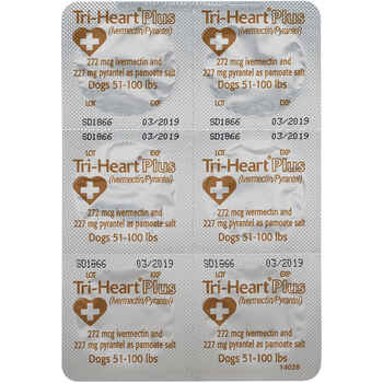 Tri-Heart Plus 6pk Brown 51-100 lbs
