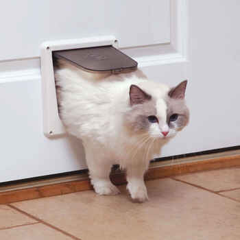PetSafe 4-Way Interior Locking Cat Door  product detail number 1.0