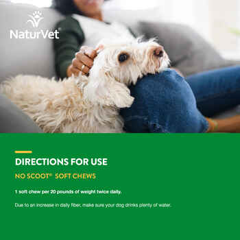 NaturVet No Scoot Plus Pumpkin Soft Chews for Dogs 60 ct