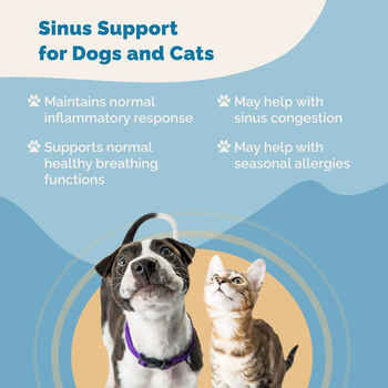 Prana Pets Sinus Support for Sinus Congestion and Seasonal Allergies Sinus Support