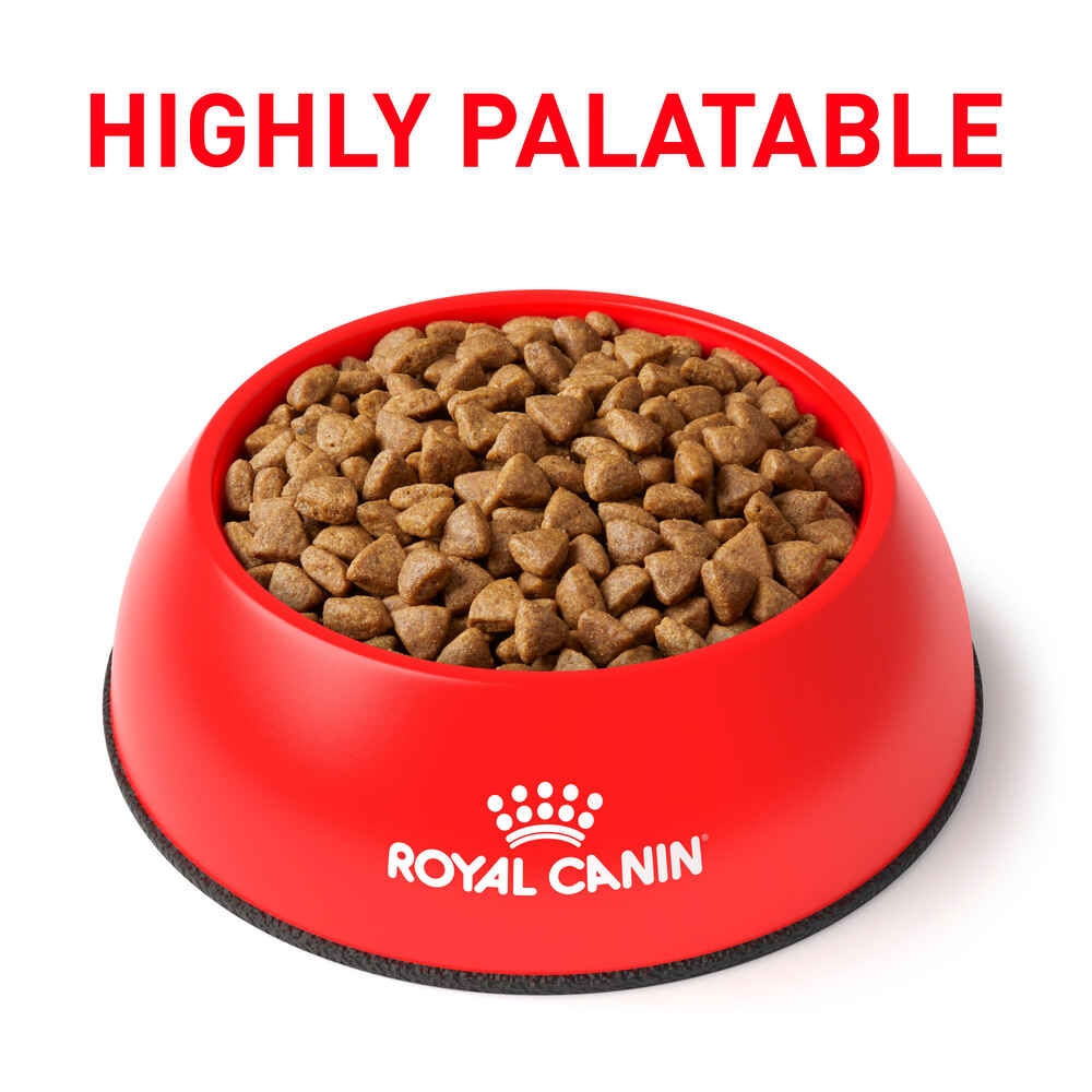 Royal Canin Veterinary Diet Feline Selected Protein PR Dry Cat Food