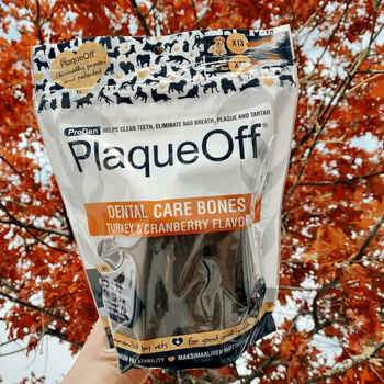ProDen PlaqueOff System Dental Care Bones with Turkey & Cranberry Flavor for Dogs 17oz