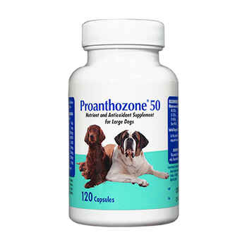 Proanthozone Antioxidant Large Dogs 50 mg 120 ct product detail number 1.0